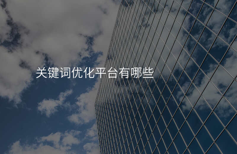 关键词优化平台有哪些