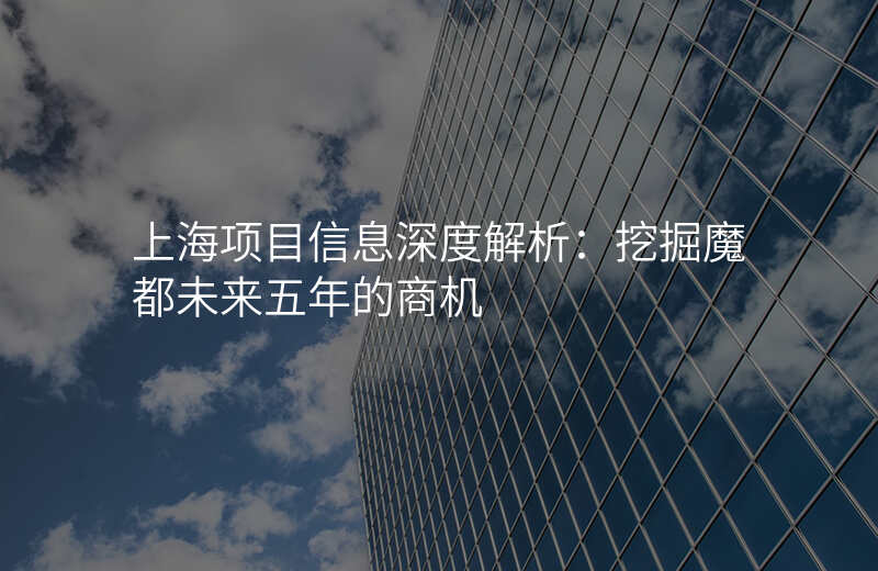 上海项目信息深度解析:挖掘魔都未来五年的商机
