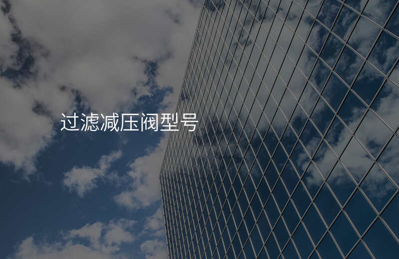 过滤减压阀型号