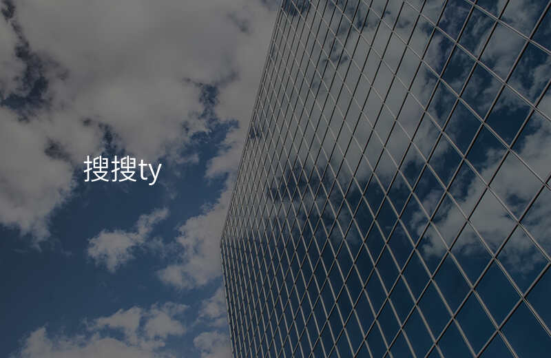 搜搜ty