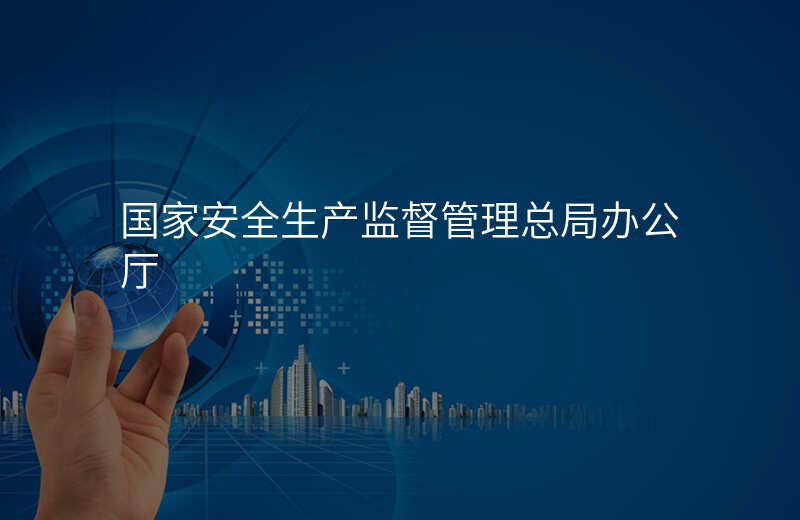国家安全生产监督管理总局办公厅