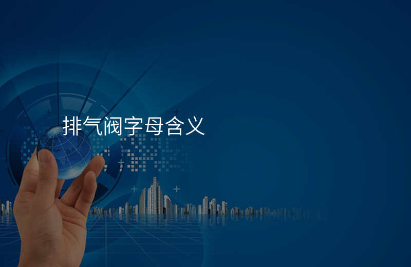 排气阀字母含义