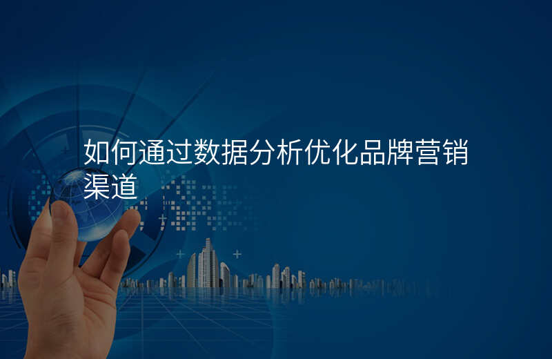 如何通过数据分析优化品牌营销渠道