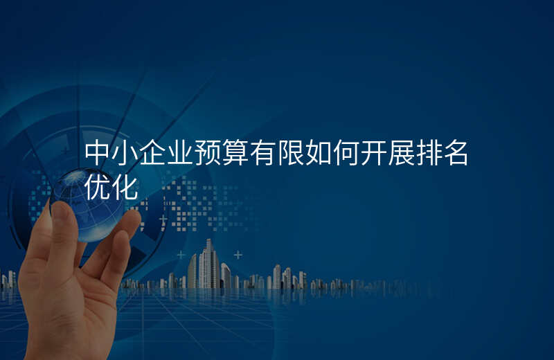 中小企业预算有限如何开展排名优化