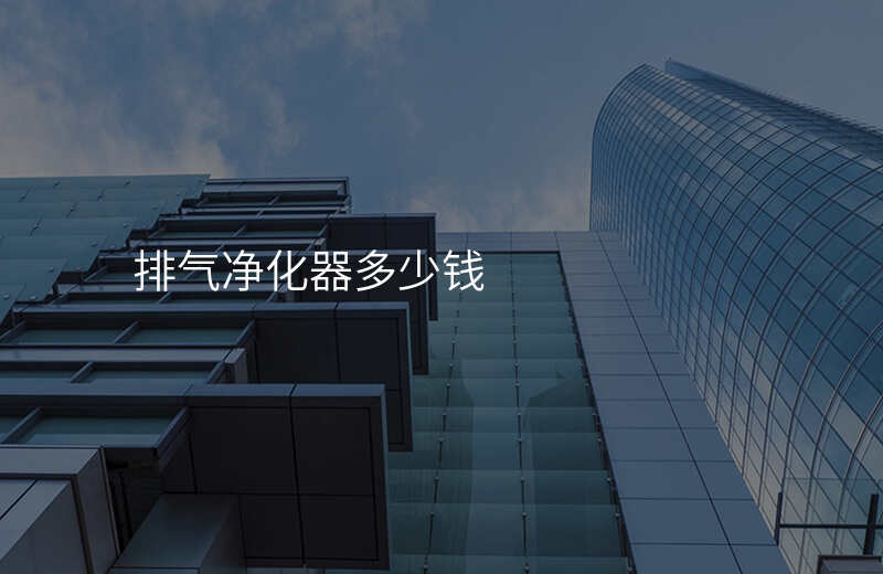 排气净化器多少钱