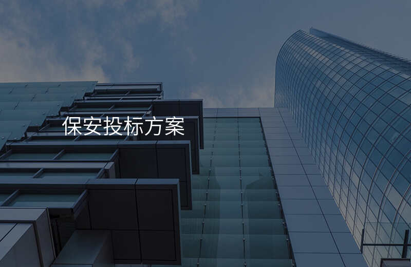 保安投标方案