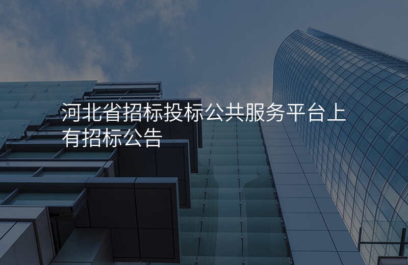 河北省招标投标公共服务平台上有招标公告