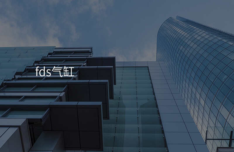 fds气缸