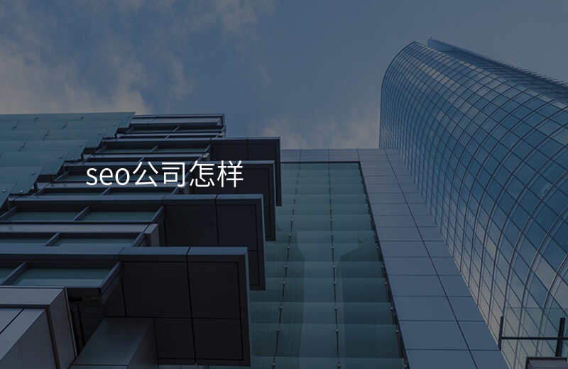 seo公司怎样