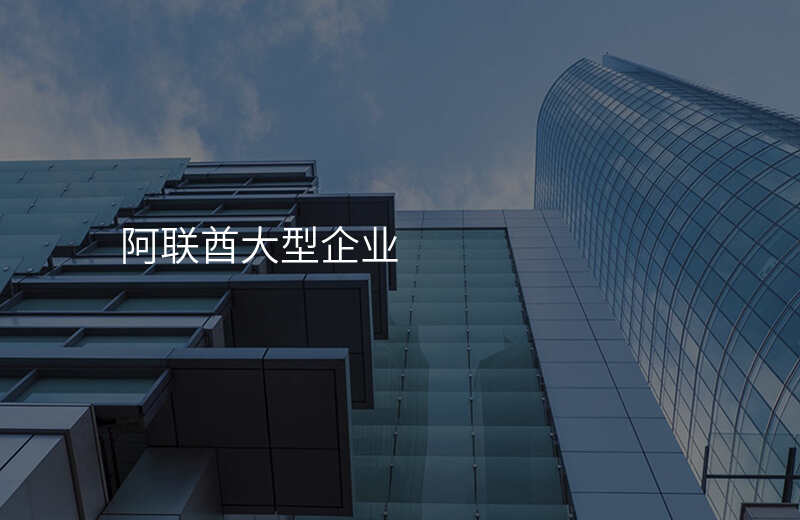 阿联酋大型企业