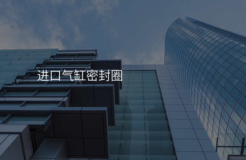 进口气缸密封圈