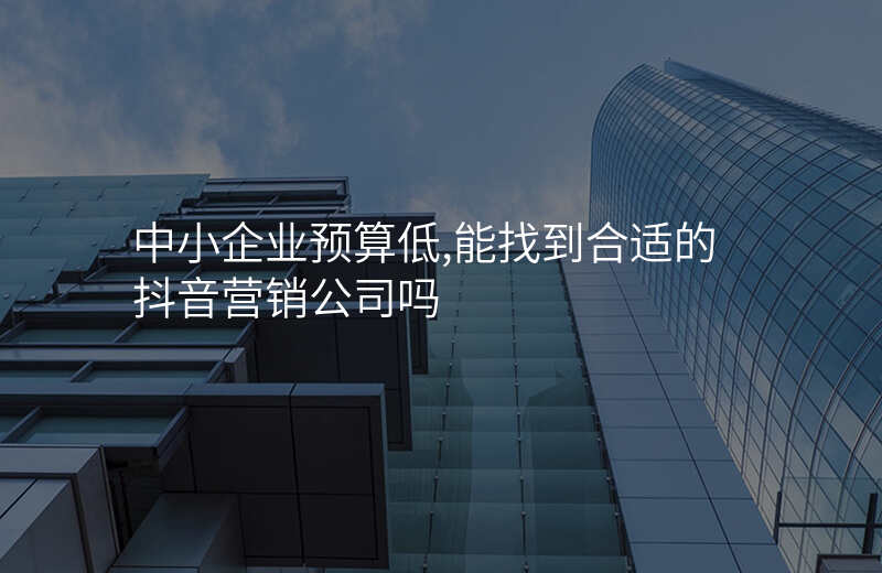 中小企业预算低,能找到合适的抖音营销公司吗