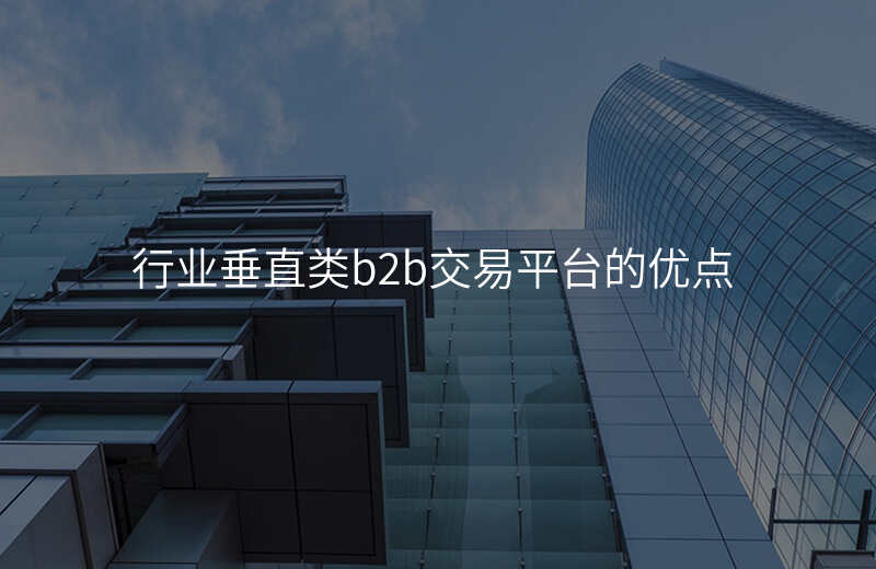 行业垂直类b2b交易平台的优点