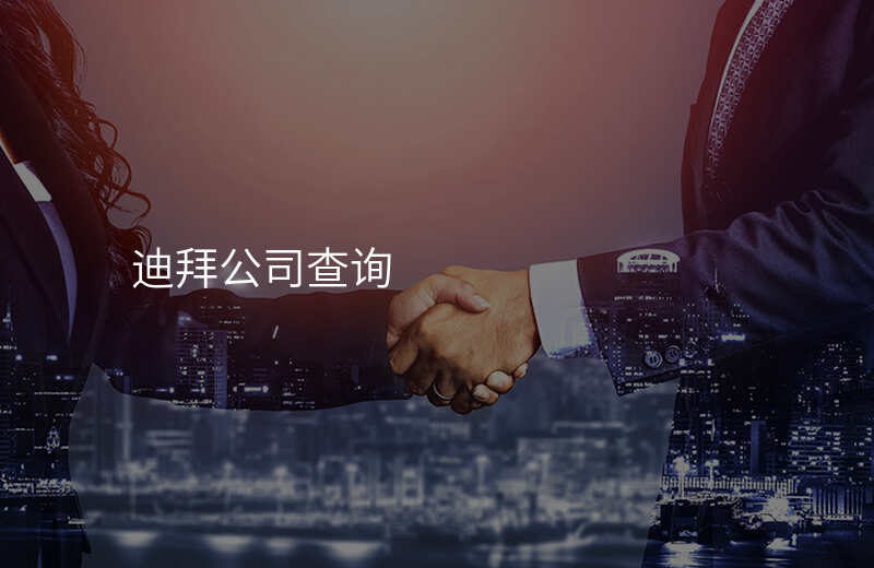 迪拜公司查询