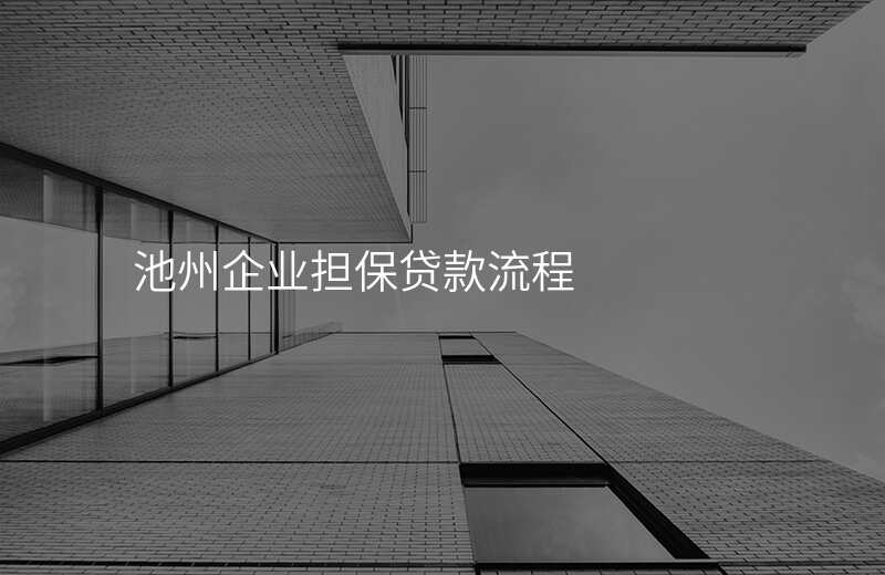 池州企业担保贷款流程