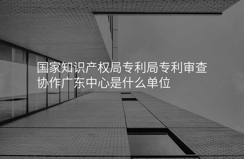 国家知识产权局专利局专利审查协作广东中心是什么单位