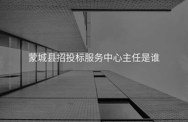 蒙城县招投标服务中心主任是谁