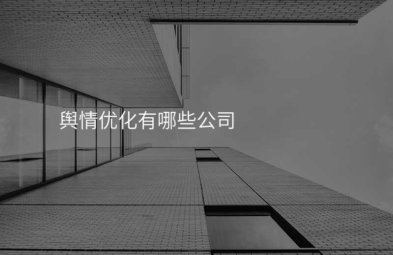 舆情优化有哪些公司