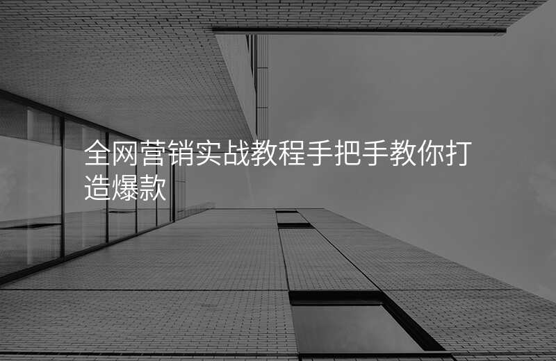 全网营销实战教程手把手教你打造爆款