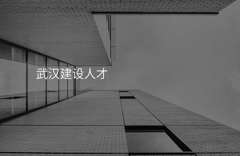 武汉建设人才