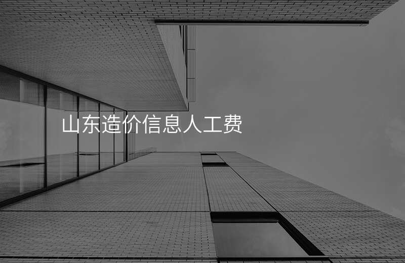 山东造价信息人工费