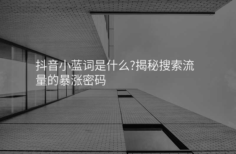 抖音小蓝词是什么?揭秘搜索流量的暴涨密码