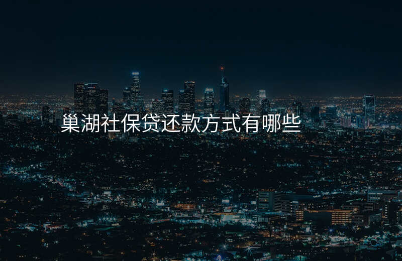 巢湖社保贷还款方式有哪些