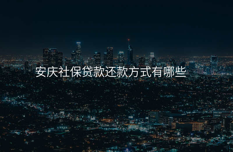 安庆社保贷款还款方式有哪些
