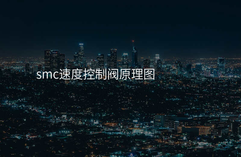 smc速度控制阀原理图