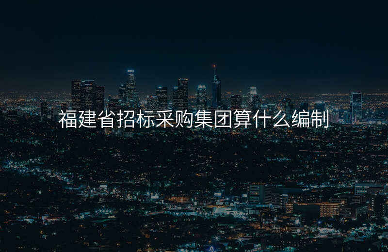 福建省招标采购集团算什么编制