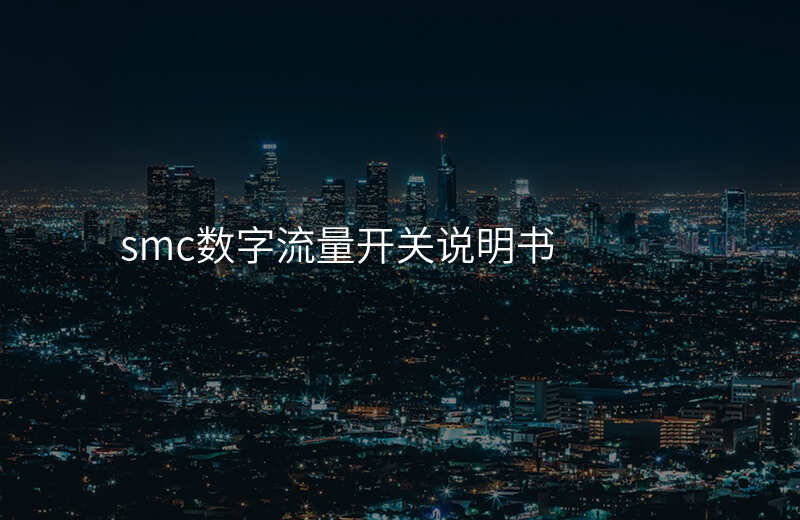 smc数字流量开关说明书