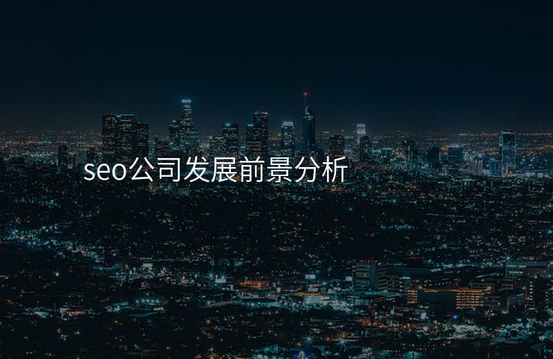 seo公司发展前景分析