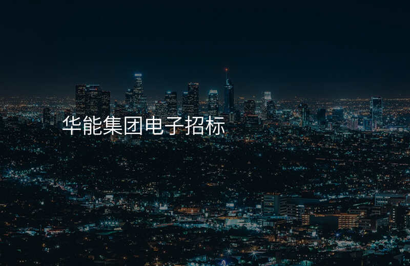 华能集团电子招标