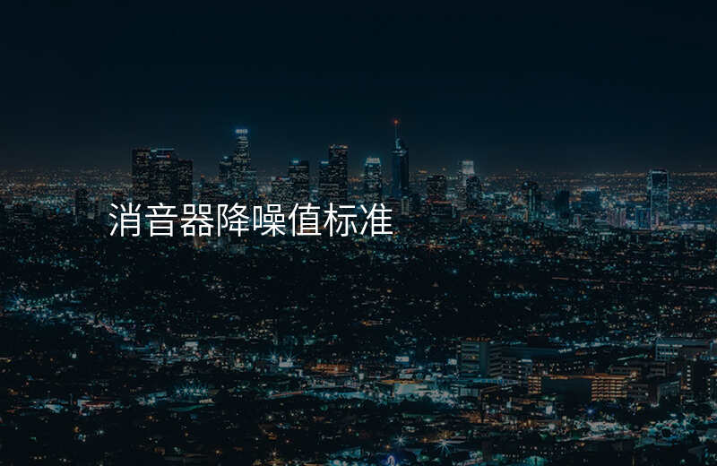 消音器降噪值标准