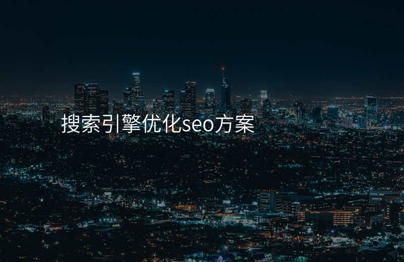 搜索引擎优化seo方案
