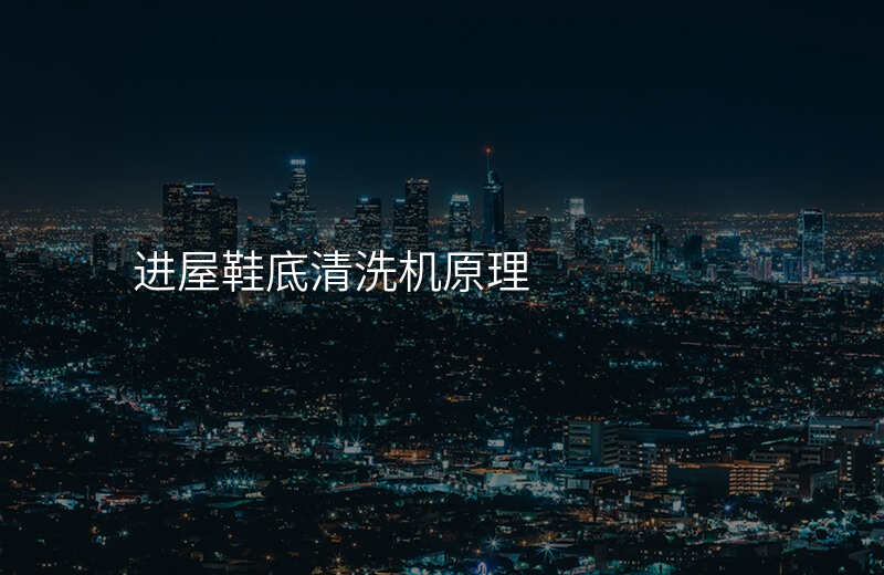 进屋鞋底清洗机原理