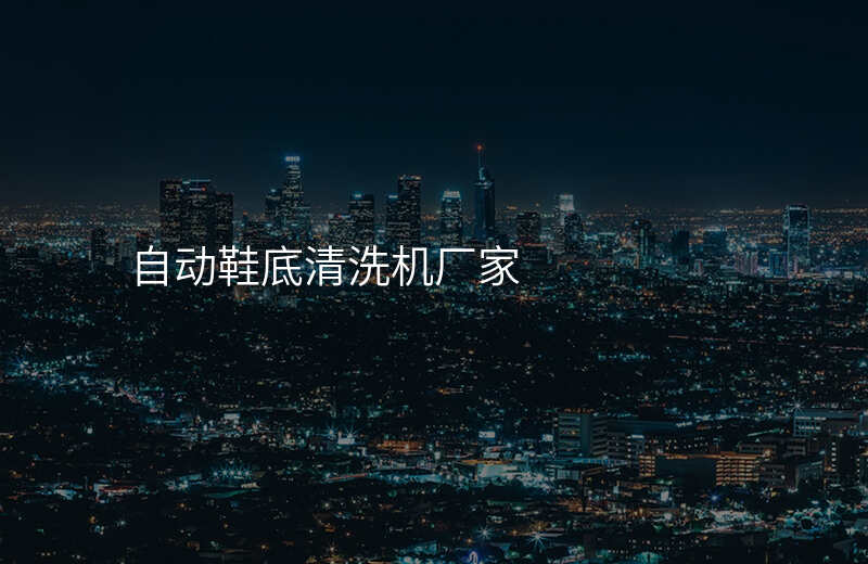 自动鞋底清洗机厂家
