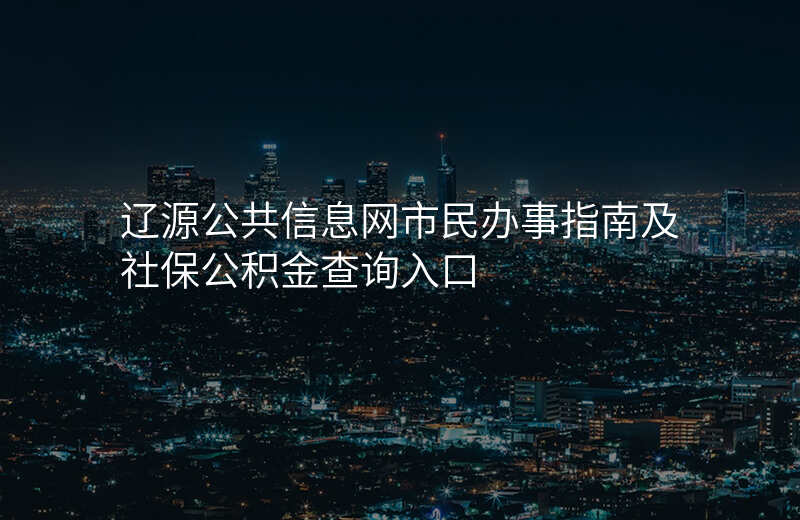 辽源公共信息网市民办事指南及社保公积金查询入口