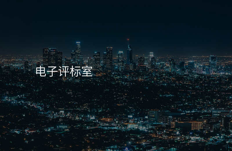 电子评标室