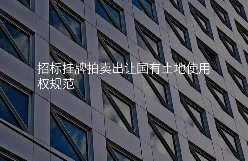 招标挂牌拍卖出让国有土地使用权规范