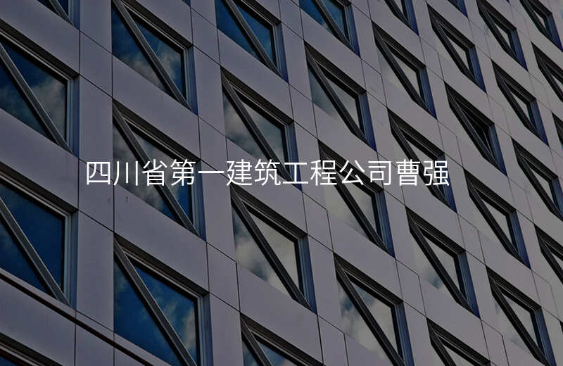 四川省第一建筑工程公司曹强