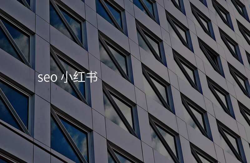 seo 小红书