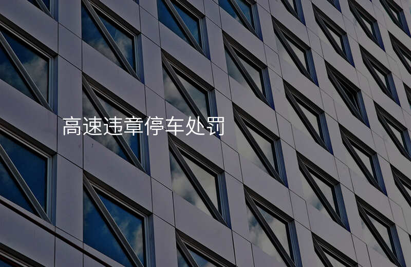 高速违章停车处罚