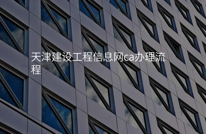 天津建设工程信息网ca办理流程