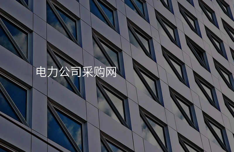电力公司采购网