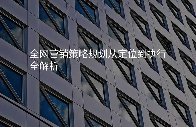 全网营销策略规划从定位到执行全解析