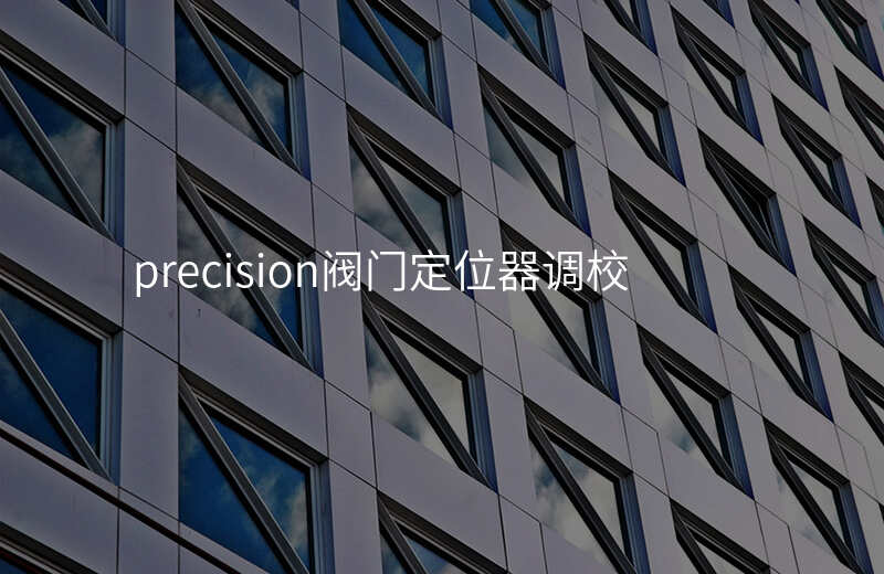 precision阀门定位器调校