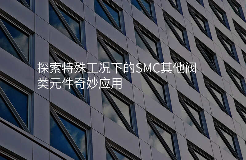 探索特殊工况下的SMC其他阀类元件奇妙应用
