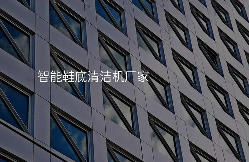 智能鞋底清洁机厂家