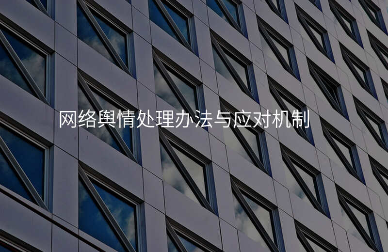 网络舆情处理办法与应对机制